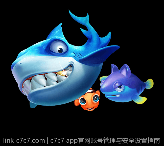 c7c7 app官网账号管理与安全设置指南
