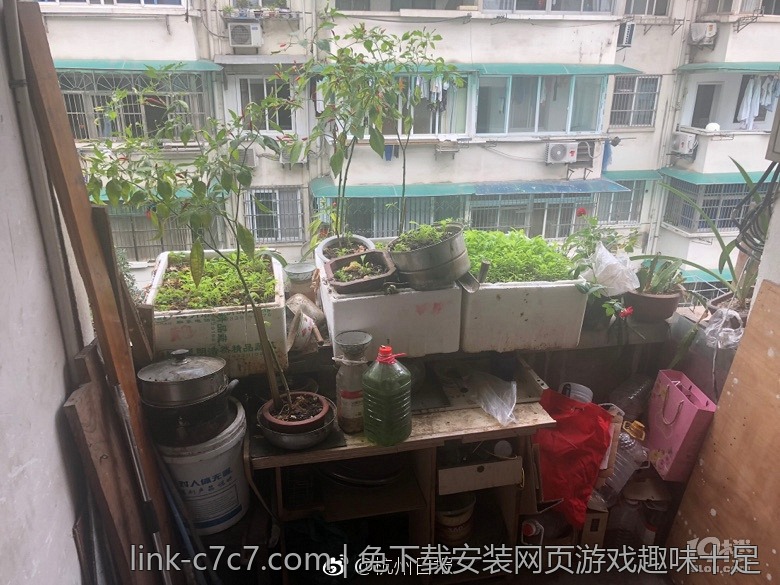 免下载安装网页游戏趣味十足